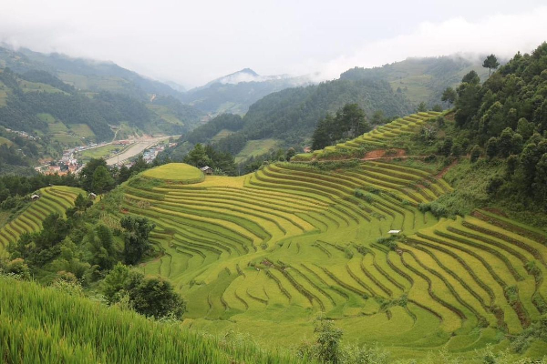 Mu Cang Chai Tour 3 Days - photo 31